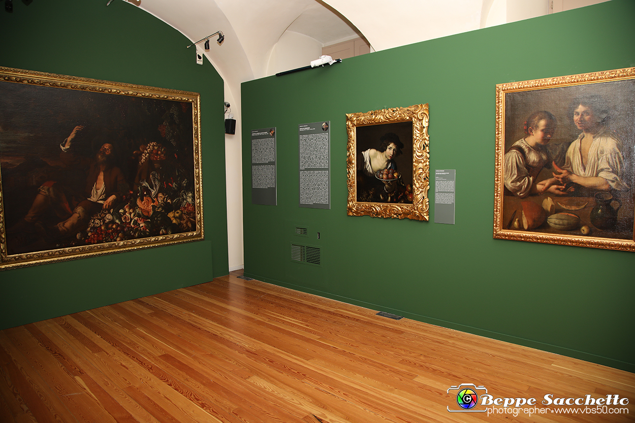 VBS_8032 - La canestra di Caravaggio.jpg